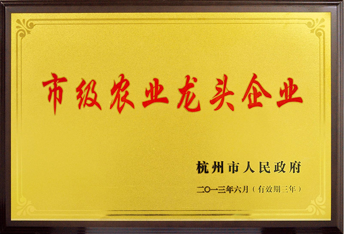 企业荣誉