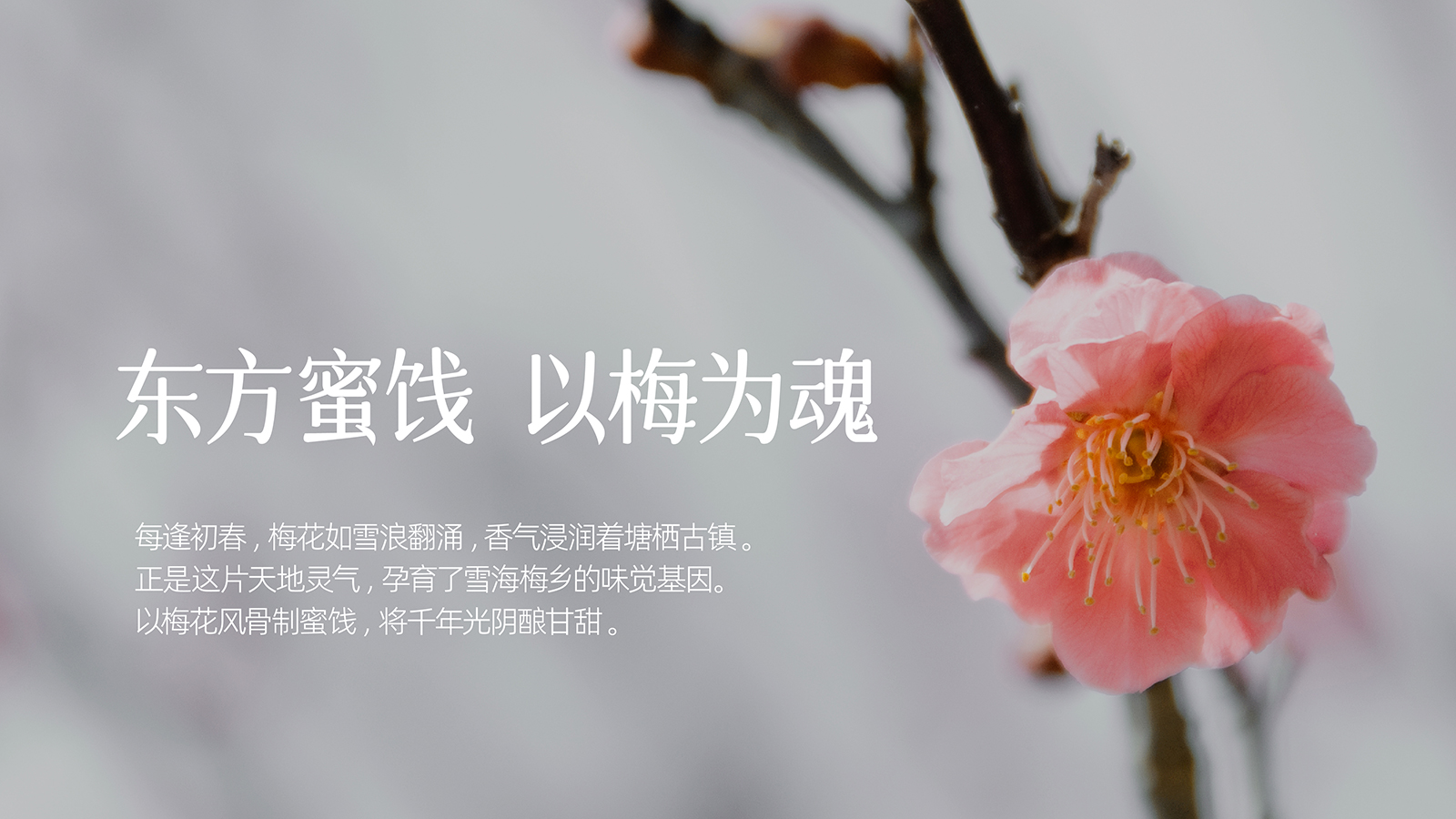 开心猫食品网站插图0417-64.jpg